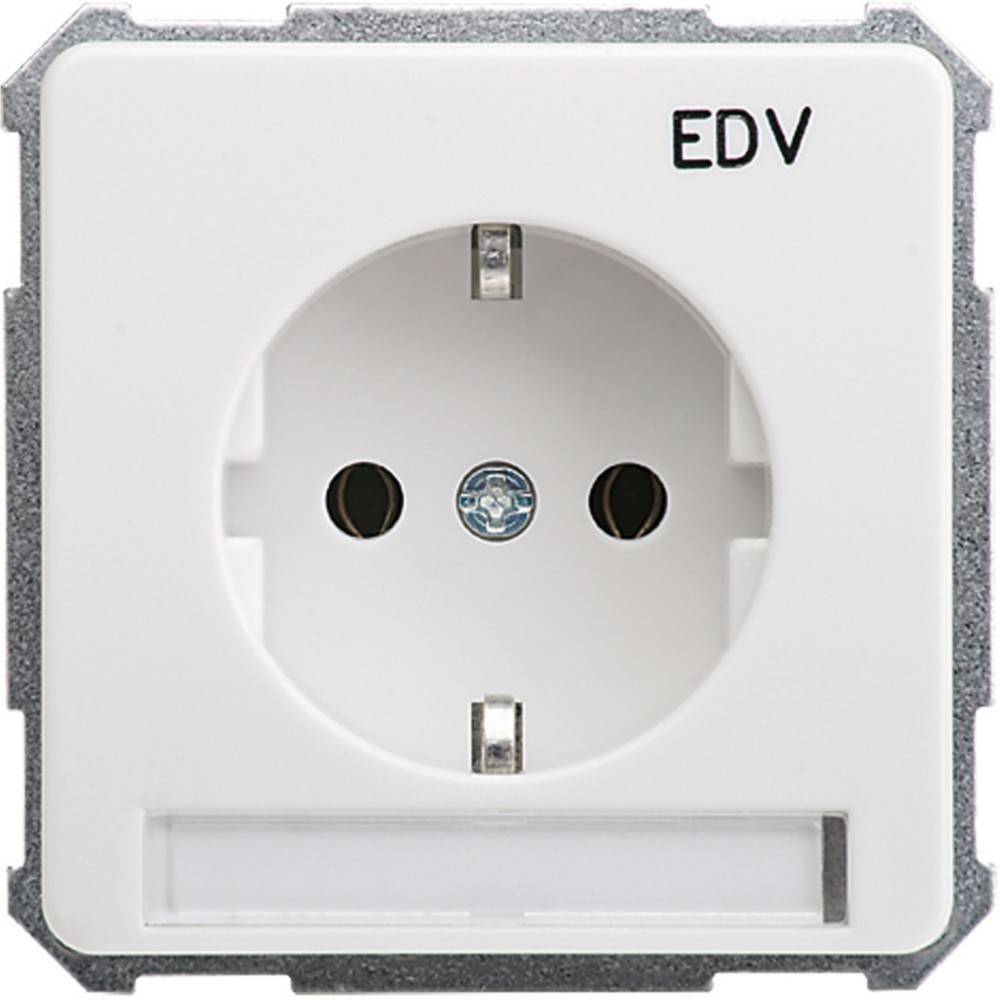 Elso UP-Steckdoseneinsatz EDV 205114