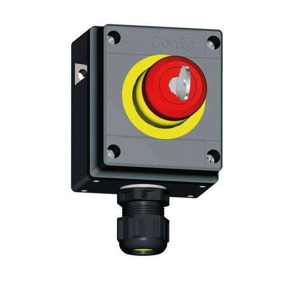 Stahl Ex-Pilzschlüsseltaster 8040/1180X-09XXXSA05