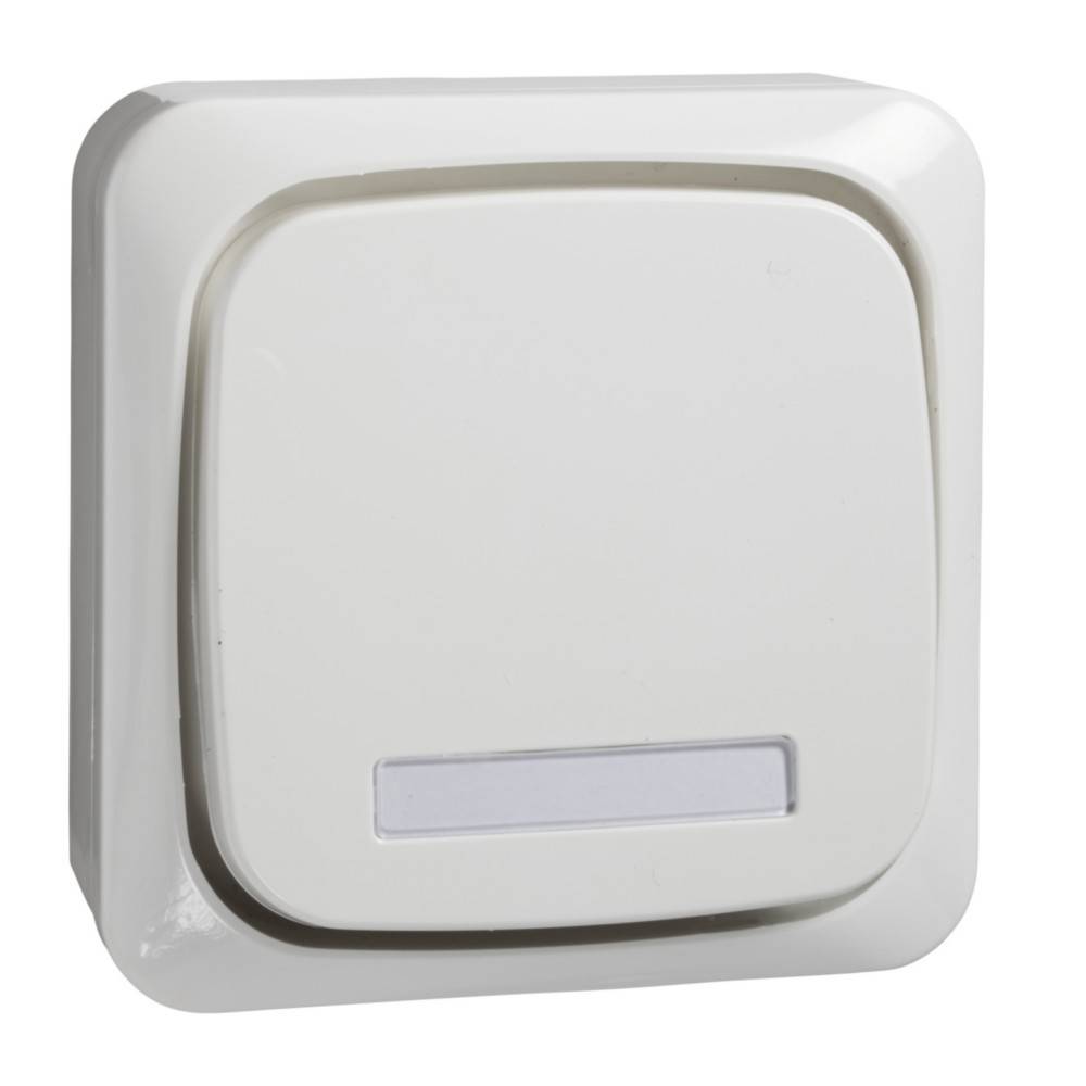 Elso Taster mit Schriftfeld 16A 562134