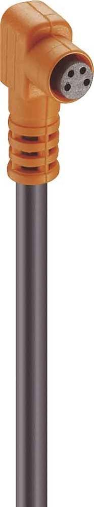 Belden Kupplung m.Rastver.,gew. RKMW 3-06/2m