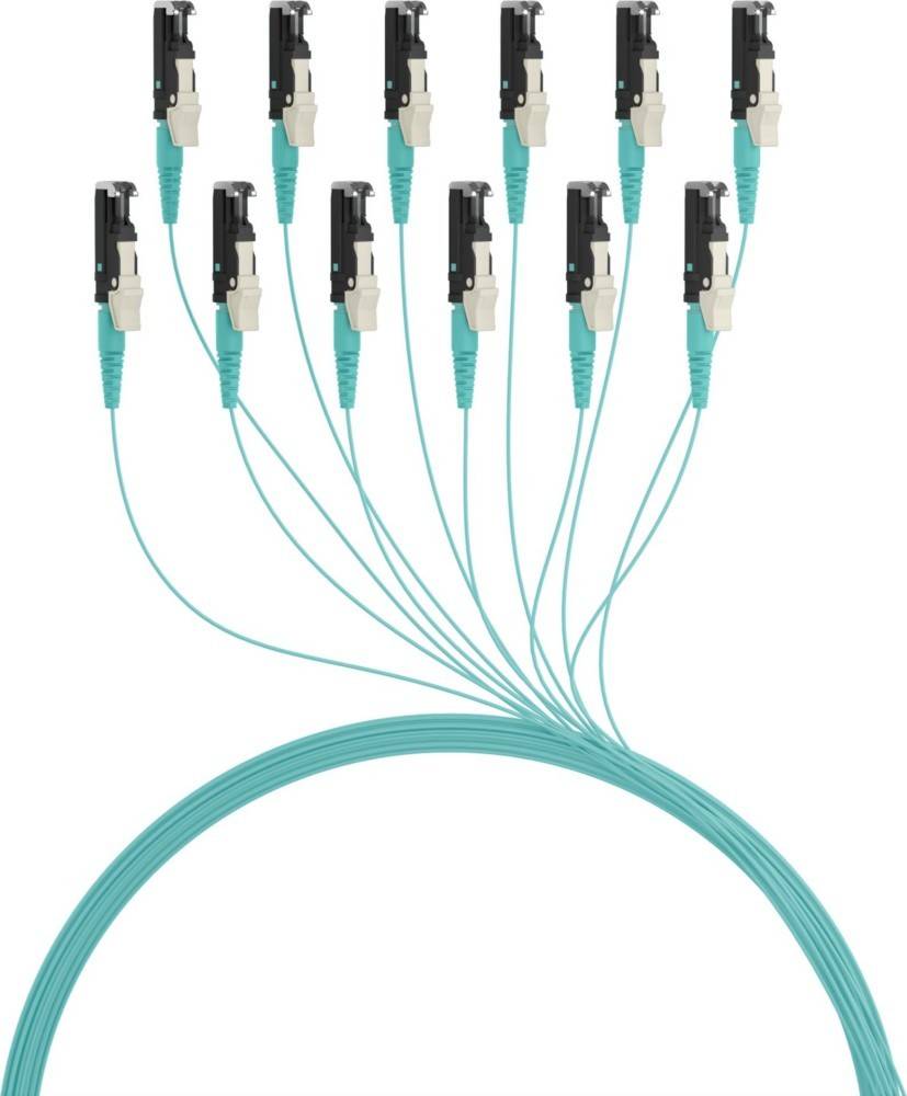 Rundes 12-Faser-Glasfaserkabel mit Steckern, die von der Mitte abstehen, zeigt die verzweigte Verbindung von Netzwerkkabeln.
