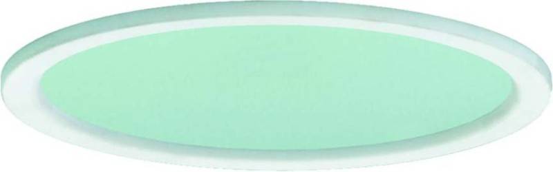 Ridi-Leuchten Microprismenscheibe DR235-MPS-G-D-W