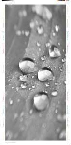 Striebel&John Design Folie UZ643DP10 (VE10)