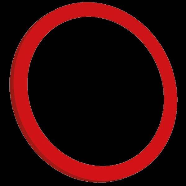 Bachmann PIX Zierringset 926.200