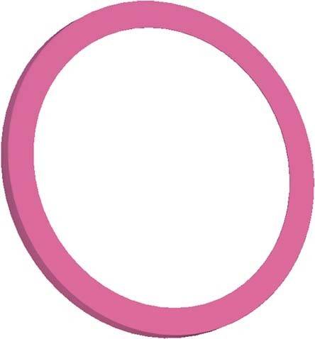 Bachmann PIX Zierringset 926.200