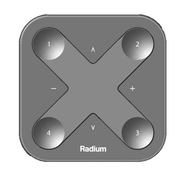 Radium Lampenwerk Smarter Schalter LMZA4954