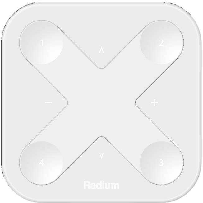 Radium Lampenwerk Smarter Schalter LMZA4955