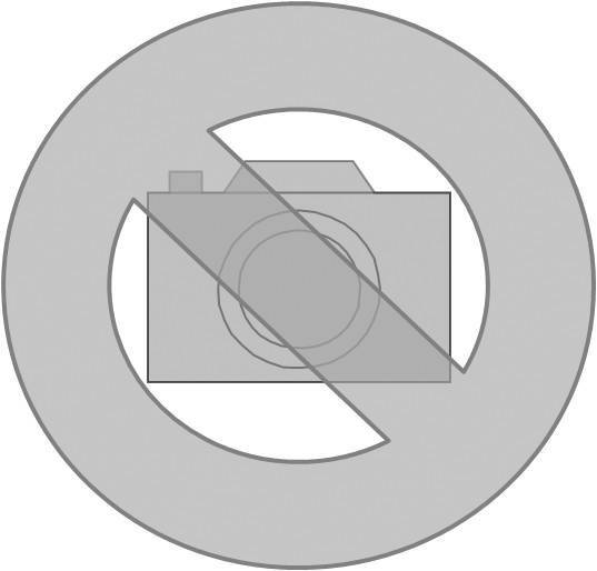 Niedax Kabelrinne RS 60.200 E3