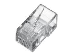 DIGITUS - Netzwerkanschluss - RJ-45 (M) - ungeschirmt
