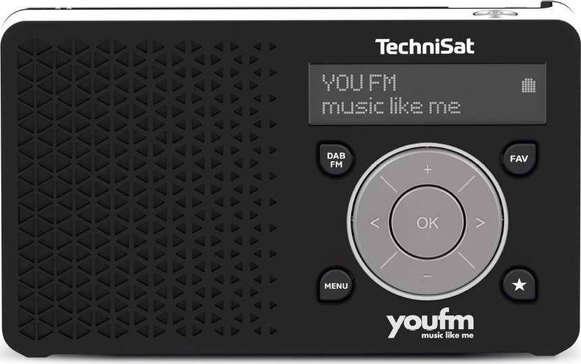 TechniSat Digitalradio DIGITRADIO1youfsw/ws