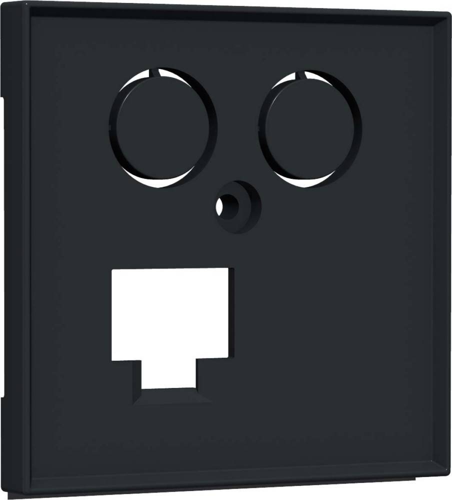 Homeway Zentralplatte TV+LAN HW-ZL0ANG55V1