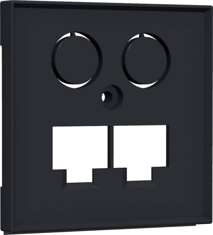 Homeway Zentralplatte TV+LAN/LAN HW-ZLLANG55V1