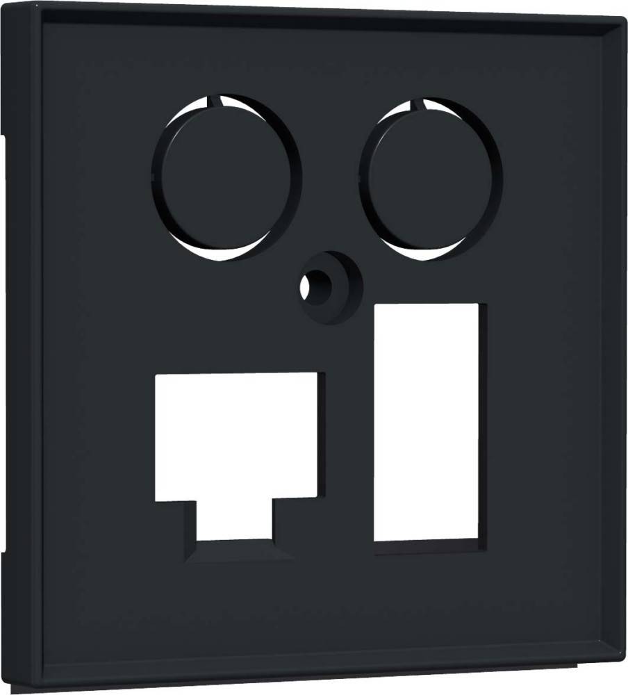 Homeway Zentralplatte TV + LAN/TAE HW-ZLTANG55V1