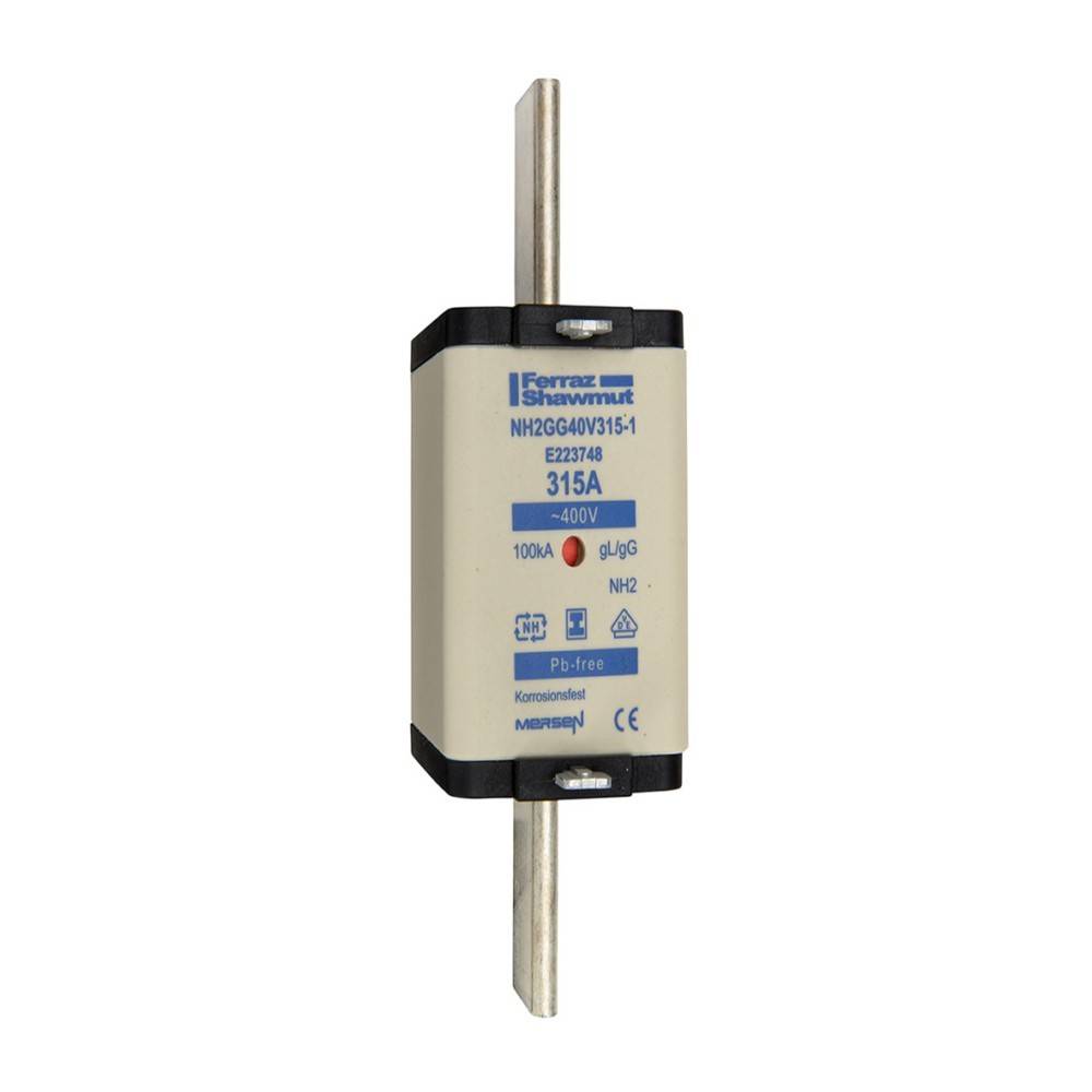 Mersen Sicherungseinsatz NH gG NH2GG40V50-1