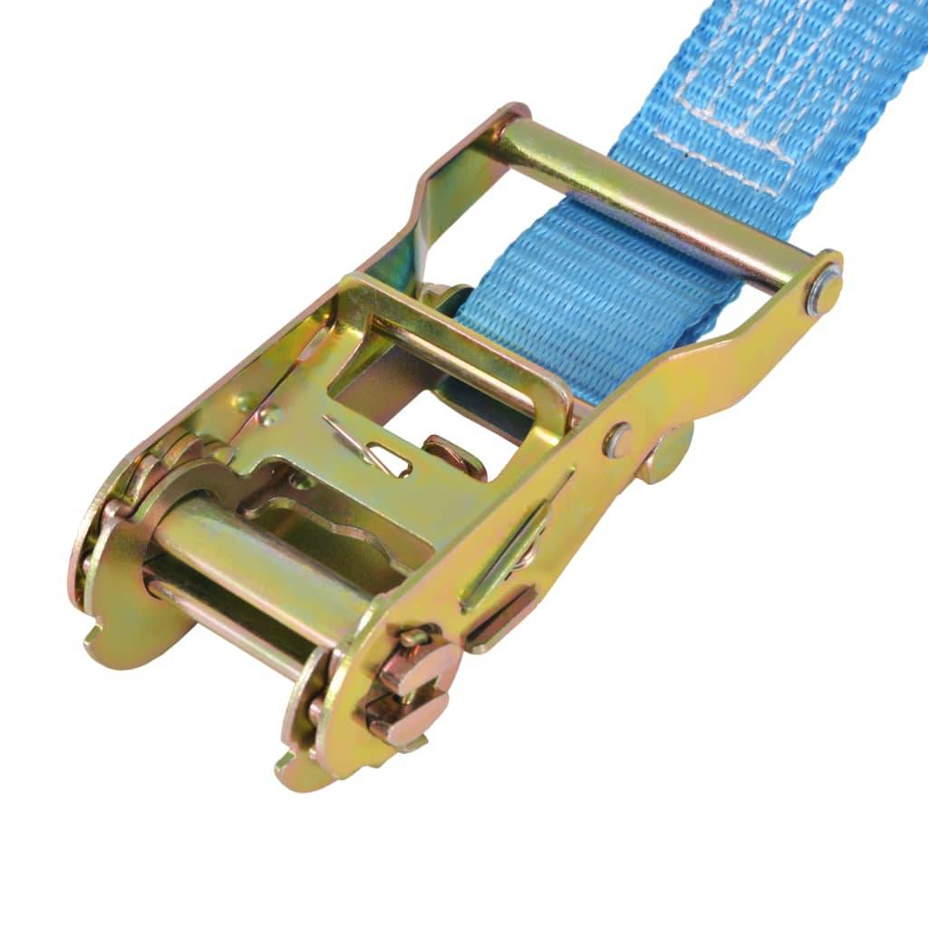 vidaXL Ratschen-Spanngurte 4 Stk. 2 Tonnen 6m×38mm Blau