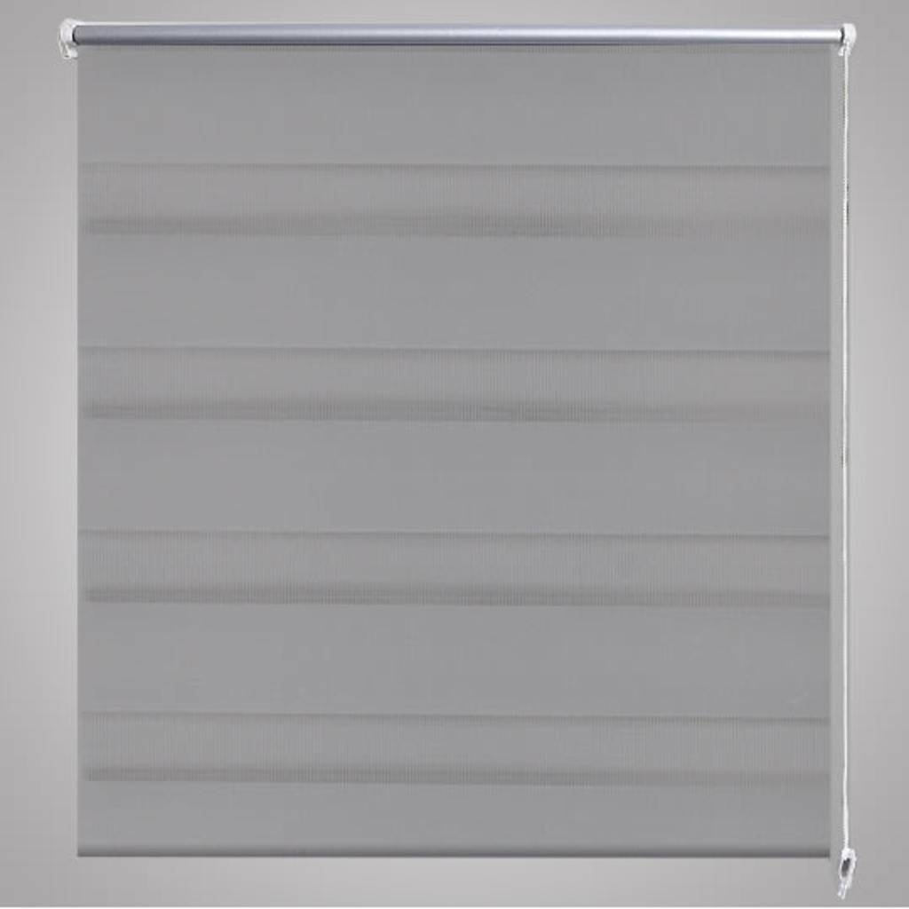 Doppelrollo 50 x 100 cm grau
