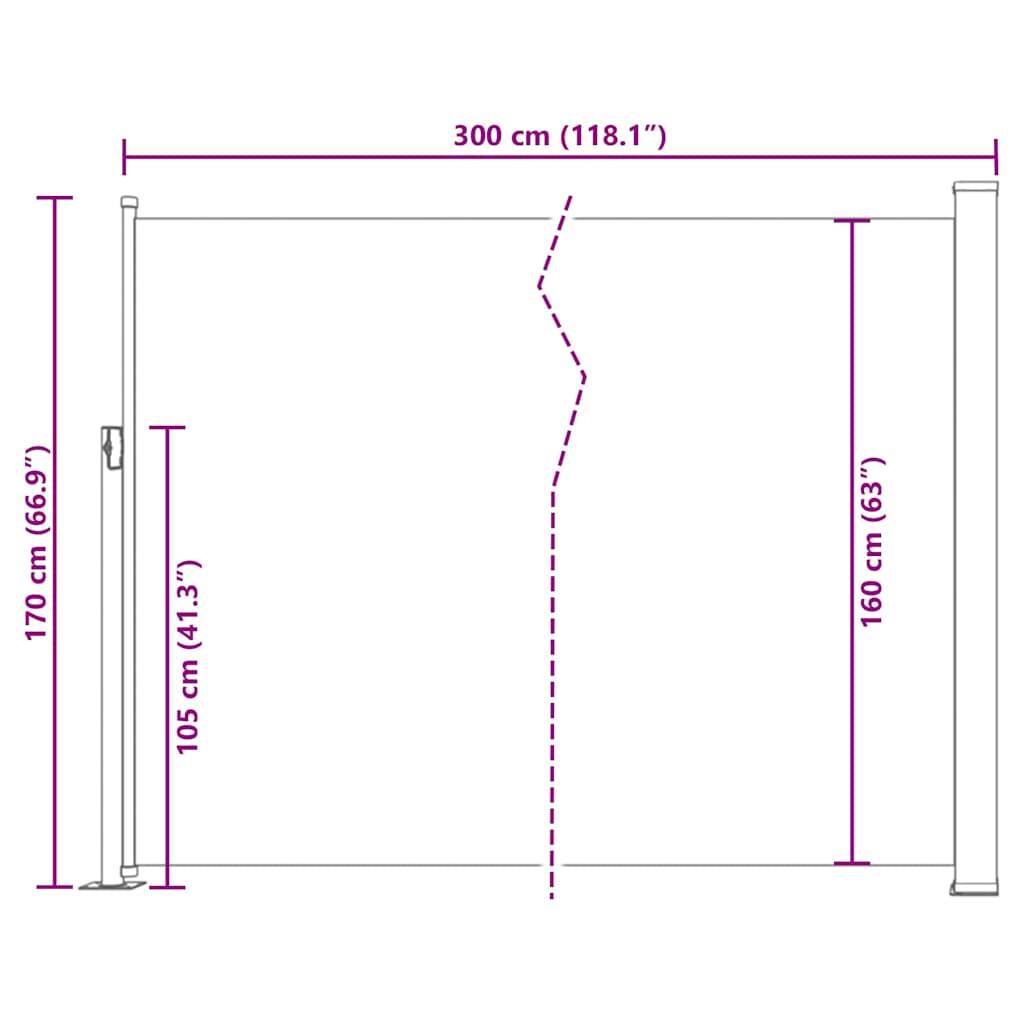 vidaXL Ausziehbare Seitenmarkise 170×300 cm Grau
