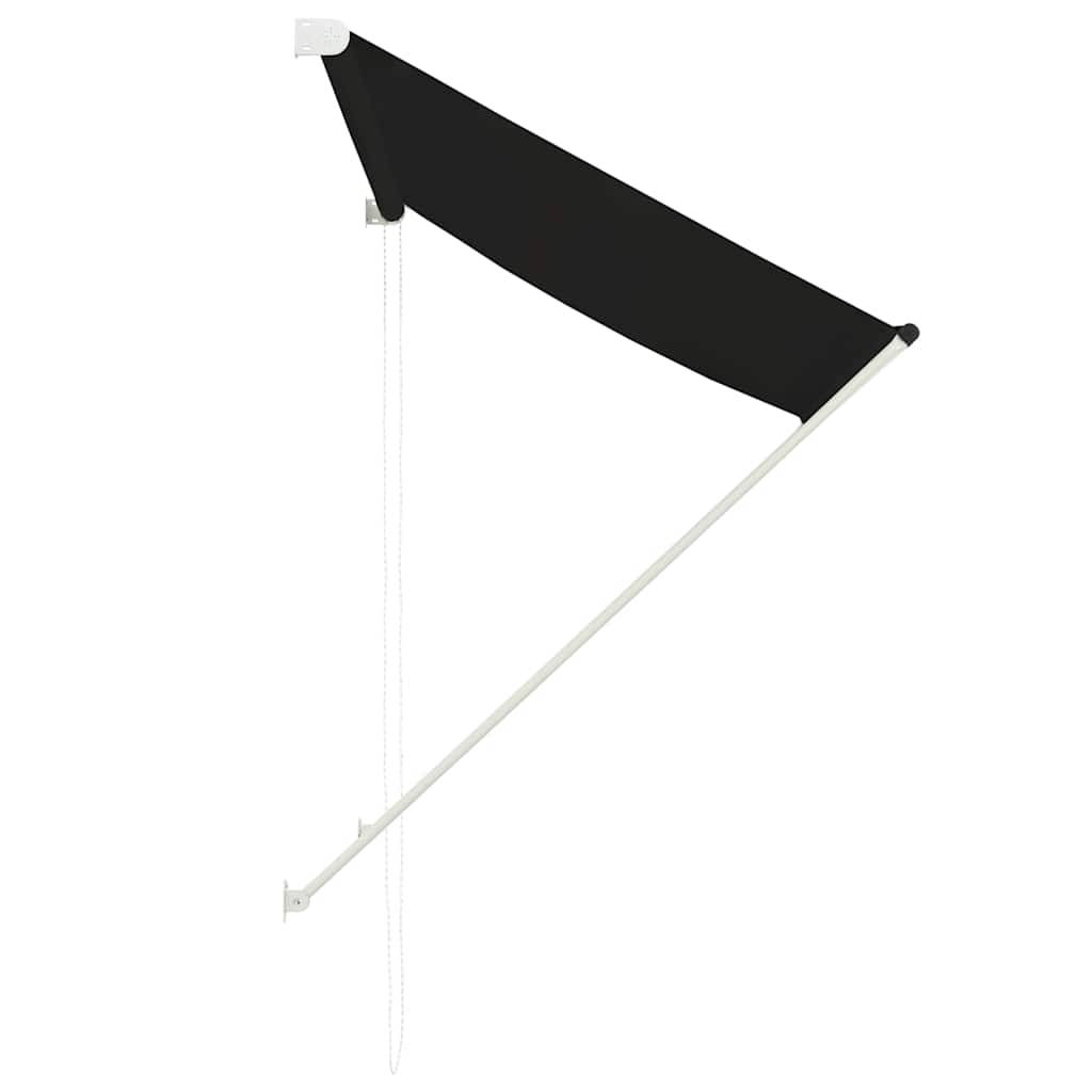 vidaXL Einziehbare Markise 100×150 cm Anthrazit