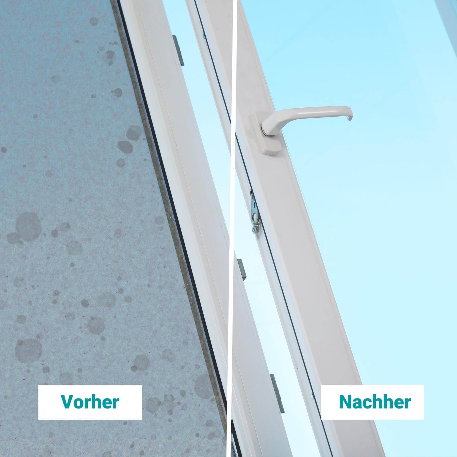 HOTREGA Glasreiniger Konzentrat 500 ml Sets - Menge:5