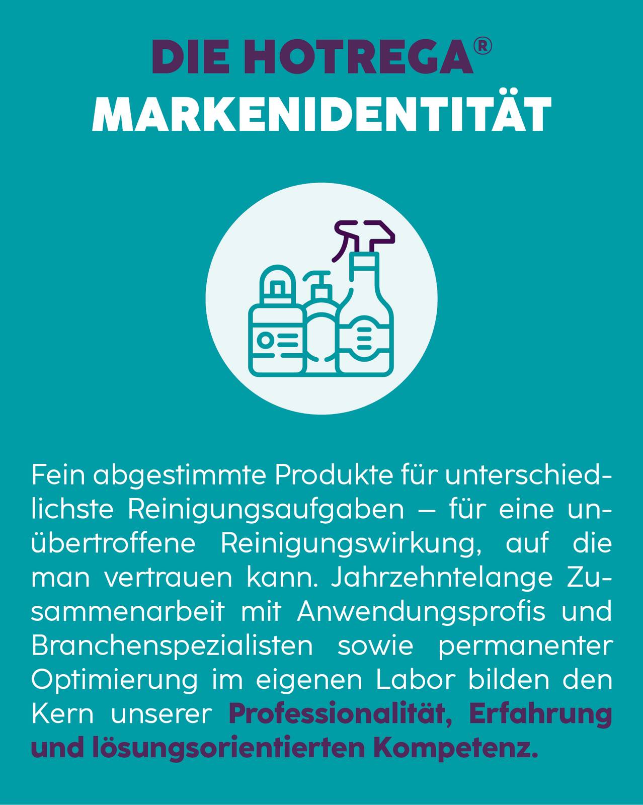 HOTREGA Handreiniger 2in1 250 ml