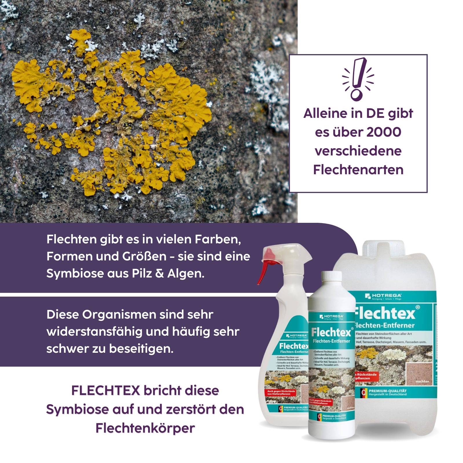 HOTREGA Flechtex Flechtenentferner 2 L