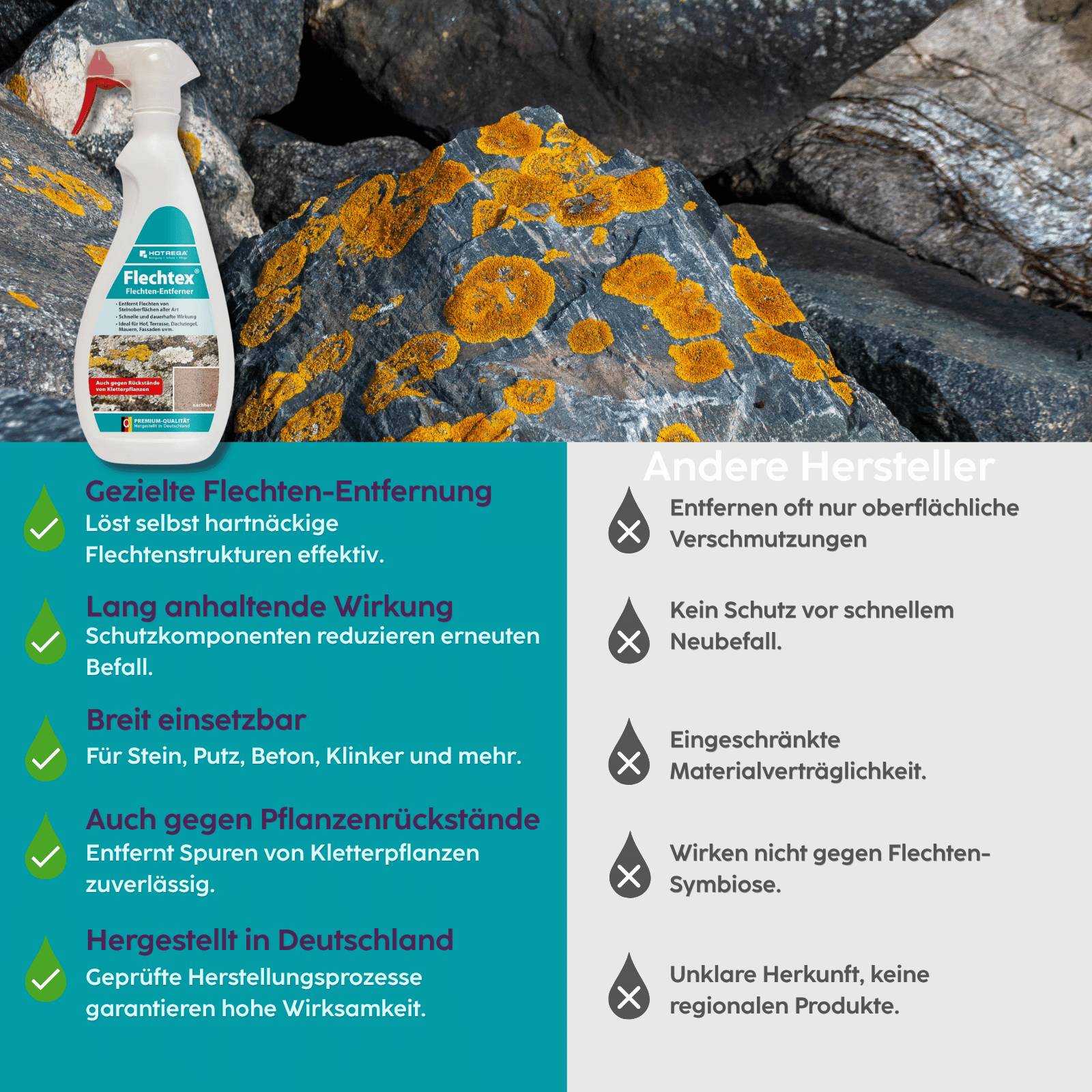 HOTREGA Flechtex Flechtenentferner 750 ml