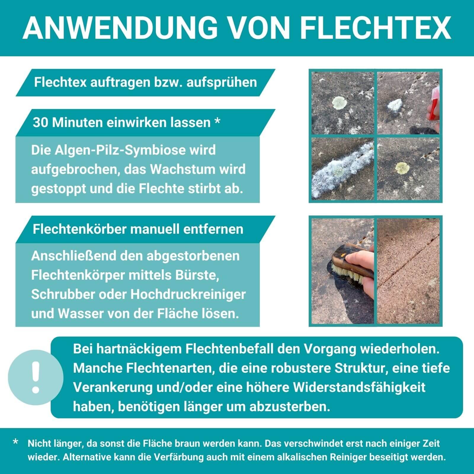 HOTREGA Flechtex 1L + Grünbelagentferner 1:10 1L