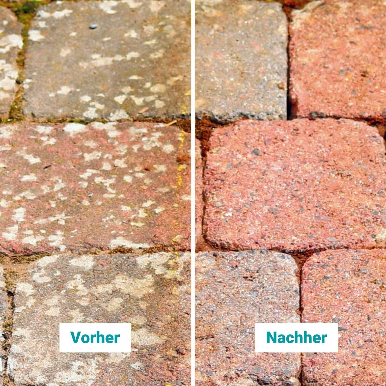 stein-reiniger.de Flechten Entferner 2x 1 Liter