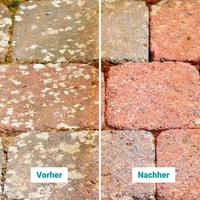 stein-reiniger.de Flechten Entferner 2x 1 Liter stein-reiniger.de Flechten Entferner 2x 1 Liter