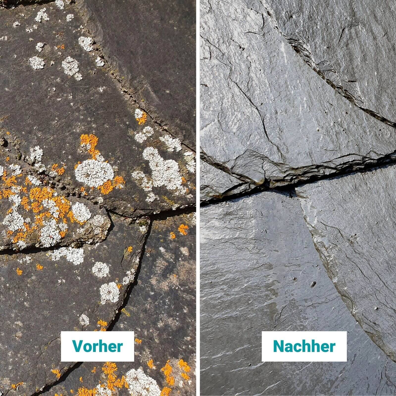 stein-reiniger.de Flechten Entferner 2x 1 Liter