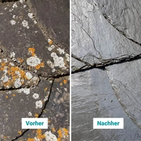 stein-reiniger.de Flechten Entferner 2x 1 Liter stein-reiniger.de Flechten Entferner 2x 1 Liter