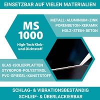 HOTREGA MS 1000 High Tech Kleb & Dichtstoff 290ml grau inkl. Kartuschenpresse HOTREGA MS 1000 High Tech Kleb & Dichtstoff 290ml grau inkl. Kartuschenpresse
