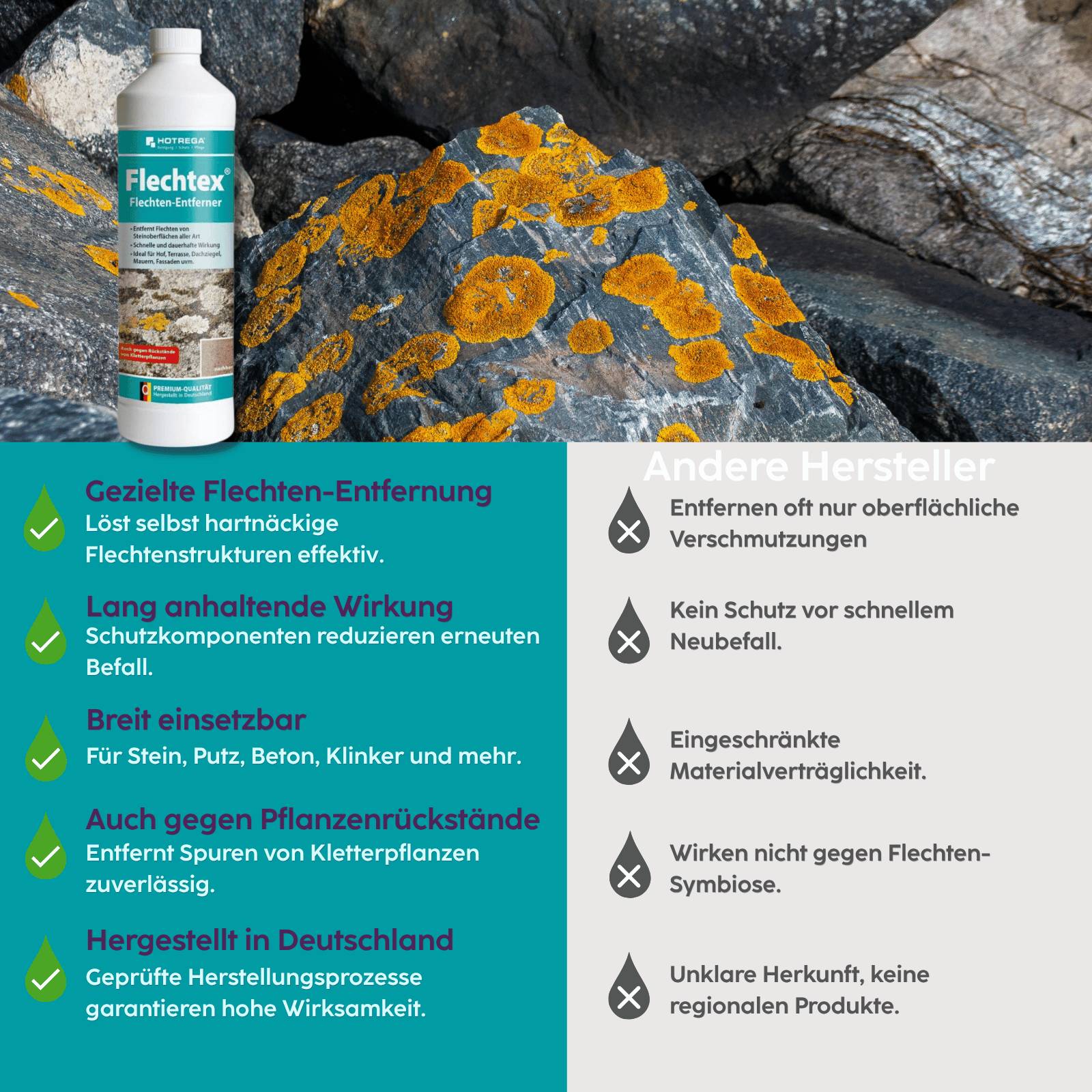 HOTREGA Flechtex Flechtenentferner 1 L