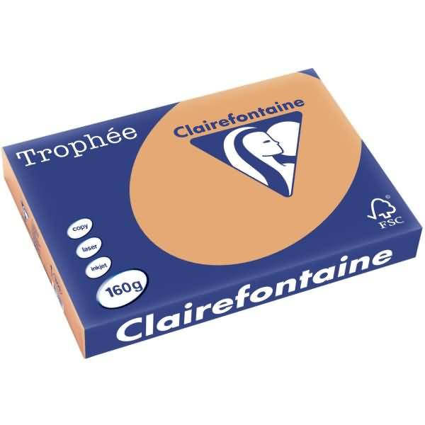 Kopierpapier Trophee A3 160g/qm VE=250 Blatt camel