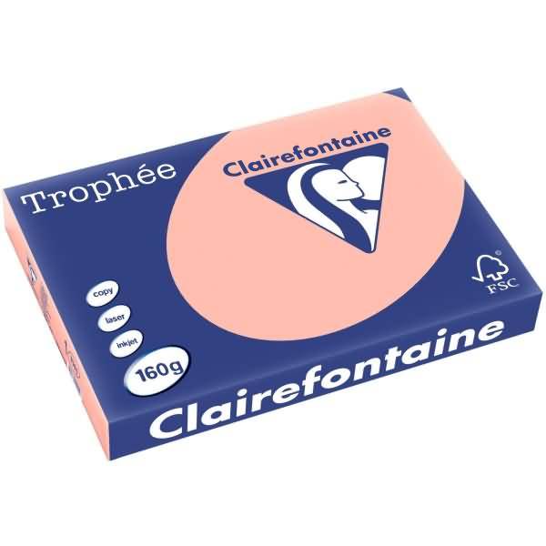 Kopierpapier Trophee A3 160g/qm VE=250 Blatt pfirsich
