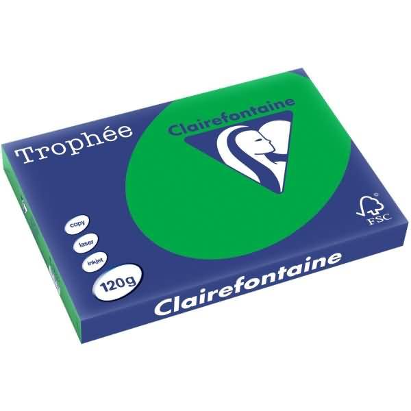 Kopierpapier Trophee A3 120g/qm VE=250 Blatt billardgrün