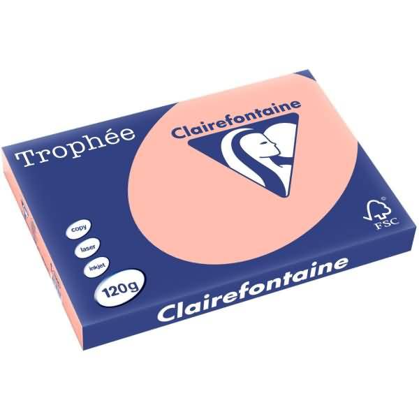 Kopierpapier Trophee A3 120g/qm VE=250 Blatt pfirsich