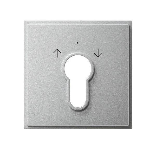 Gira Zentralpl. Schlüssel. alu 066465
