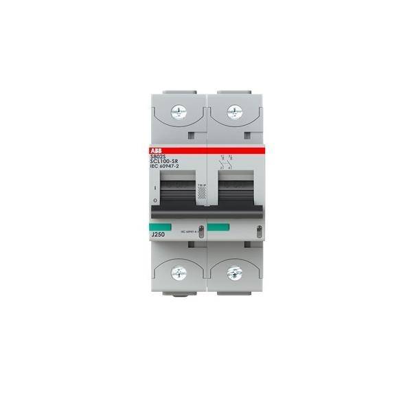 ABB Stotz S&J Kurzschlussstrombegrenzer S802S-SCL100-SR