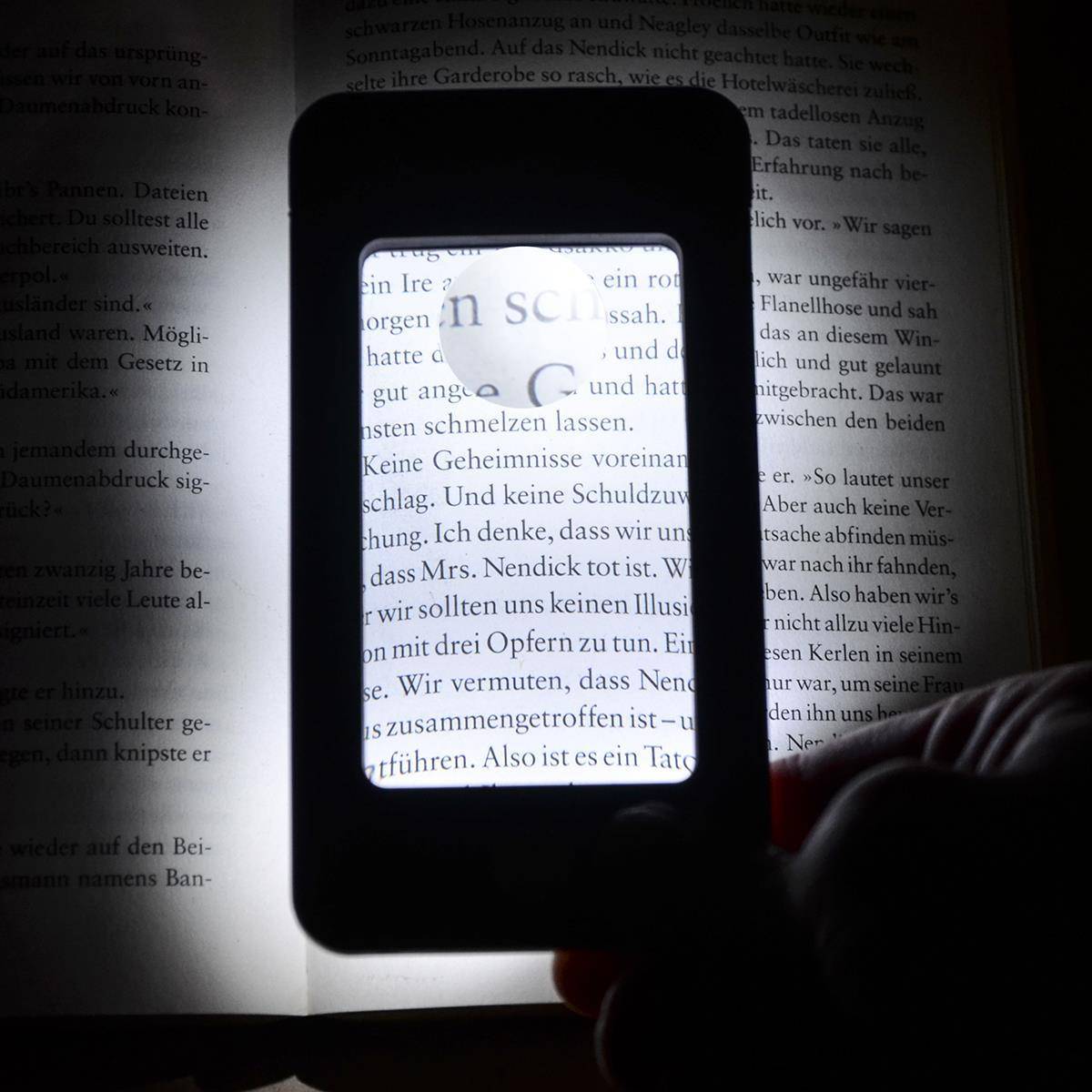 eyepower Lupe Leselupe Handy-Optik | 4 LED Kaltweißlicht | 1,75x/4x Vergrößerung | Schutzhülle