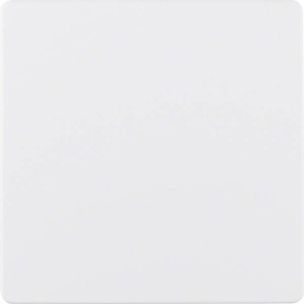 Berker Zentralplatte pws 75940489