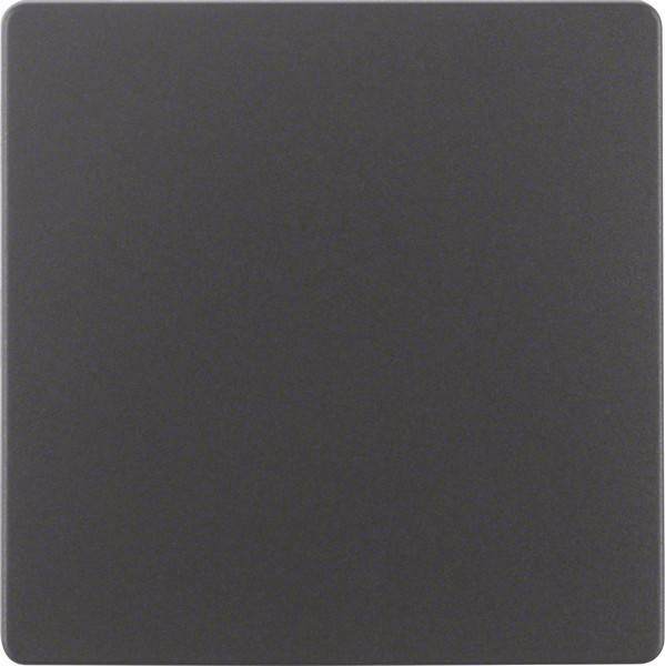 Berker Zentralplatte anth 75940485