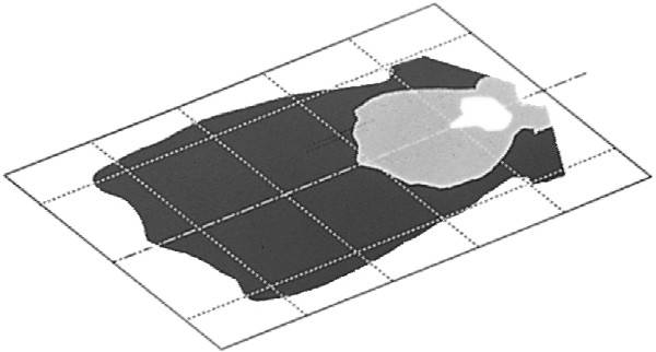 HELLA 1GB 007 145-101 Halogen-Arbeitsscheinwerfer 7145 - 12/24V - Anbau - hängend/stehend - Nahfelda