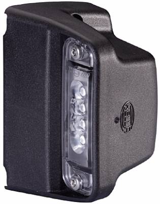 HELLA 2KA 010 278-421 Kennzeichenleuchte - LED - 12V - Anbau/geschraubt - Lichtscheibenfarbe: glaskl