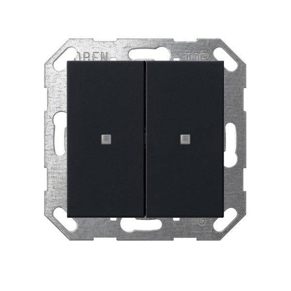 Gira Taster Wippe 5173005