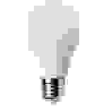 Scharnberger+Has. LED-Allgebrauchslampe 37768