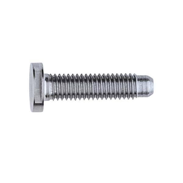 Elcom Schraube Spezial ZY M5x25 PVD chr