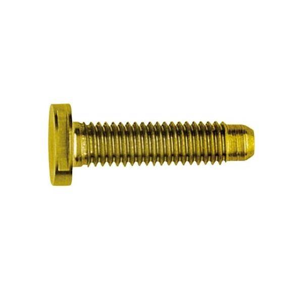 Elcom Schraube Spezial ZY M5x25 PVD mes