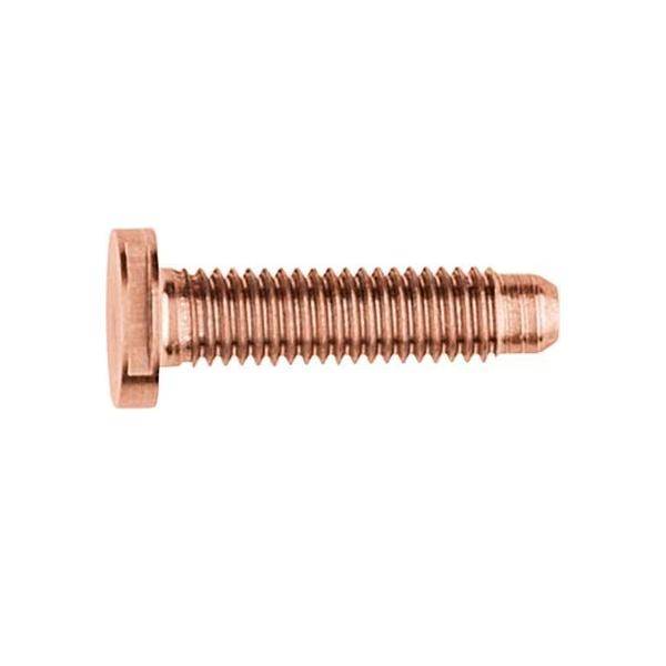 Elcom Schraube Spezial ZY M5x25 PVD vari