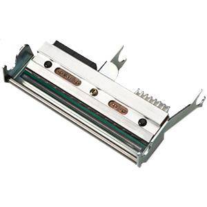 HONEYWELL - Intermec - 203 dpi - Druckkopf - für PXie Series PX6ie